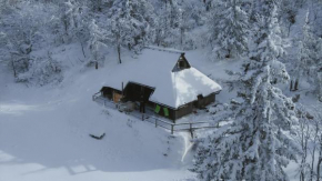 Chalet Pehta Velika Planina